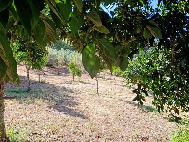 Casa de campo-Masía en Venta en Benastepal Málaga — 25