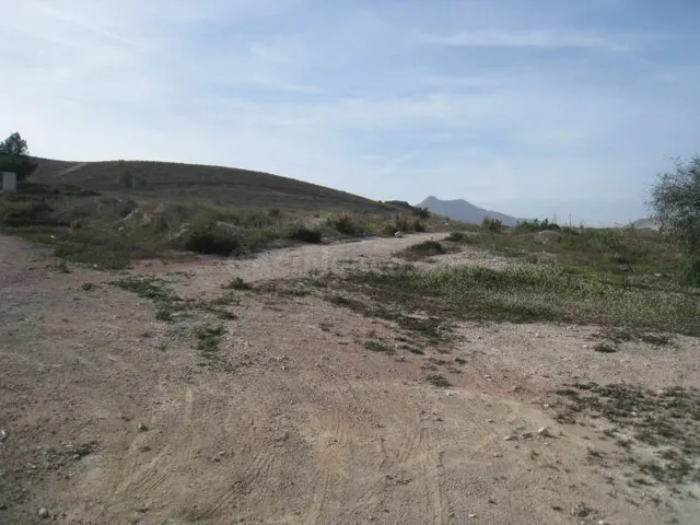 SE VENDE PARCELA RUSTICA EN ASPE ZONA UCHEL - foto 3