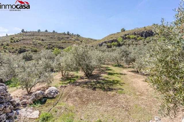 TERRENO EN PINOS DEL VALLE - foto 2