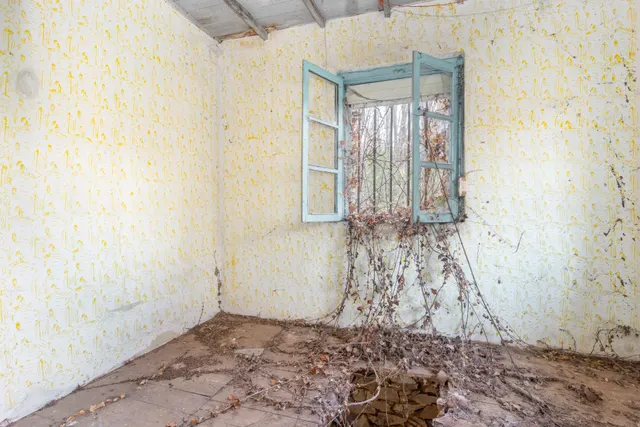 Oportunidad real: casa con parcela para rehabilitar en Tineo — 37