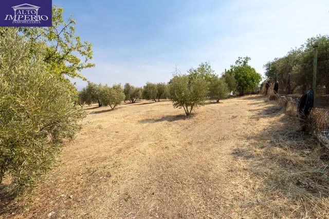 Encanto rústico con casita y olivos en Moraleja de Zafayona 🌿 — 30