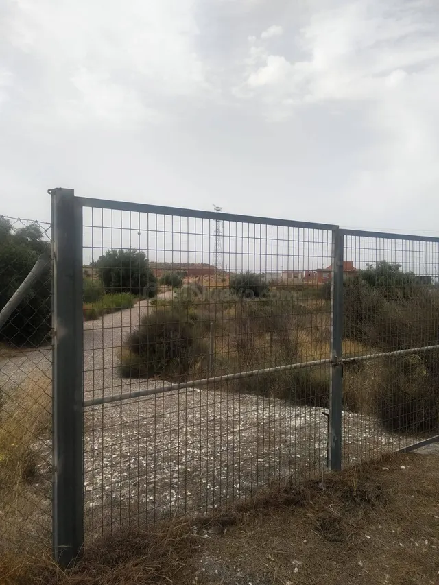 ¡Tu parcela de recreo o cultivo en La Albarda, a un paso de  - foto 5
