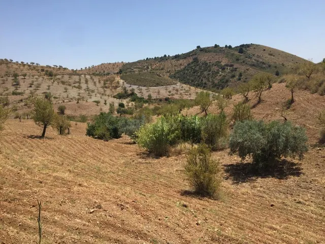 Espectacular Finca en Lorca con Vistas Impresionantes y Gran - foto 3