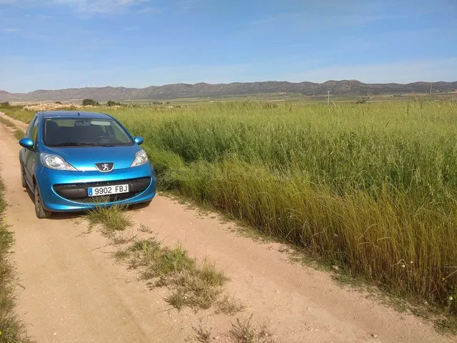 Parcela en venta - Ayuntamiento - foto 5