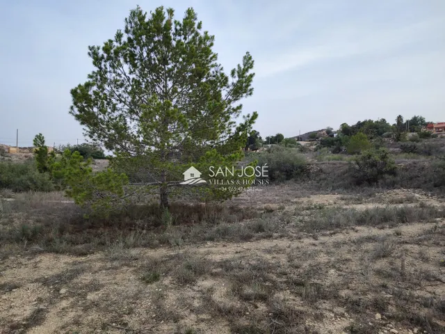 SE VENDE TERRENO EN ASPE. ZONA BIEN COMUNICADA — 11