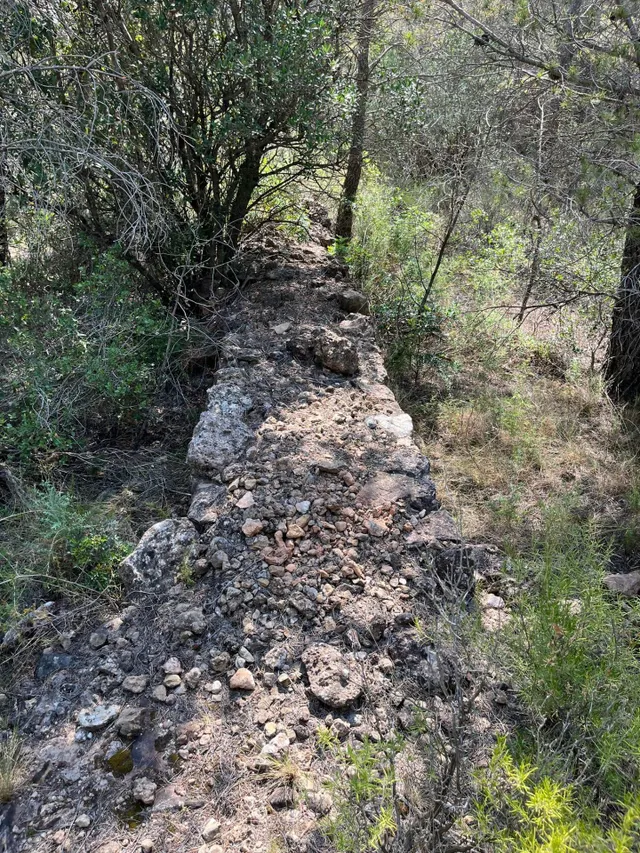 Terreno agrario en Mont-roig del camp, con barraca y pozo — 15
