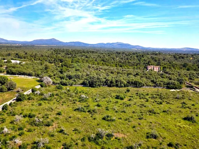 Solar residencial en Venta en Santa Margalida Baleares - foto 5