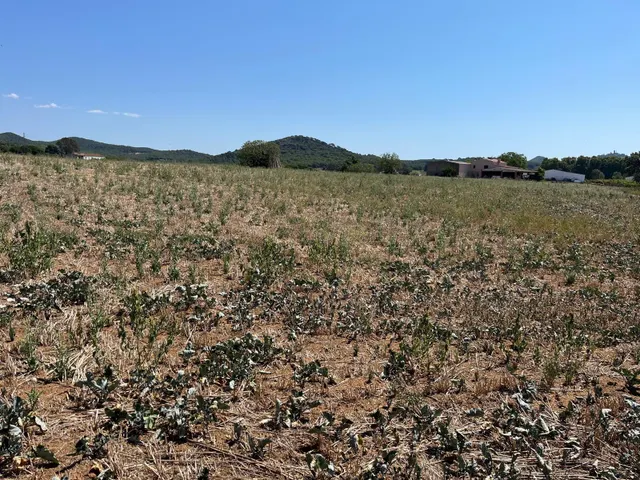 Dos parcelas rústicas juntas entre Tordera y Blanes — 8