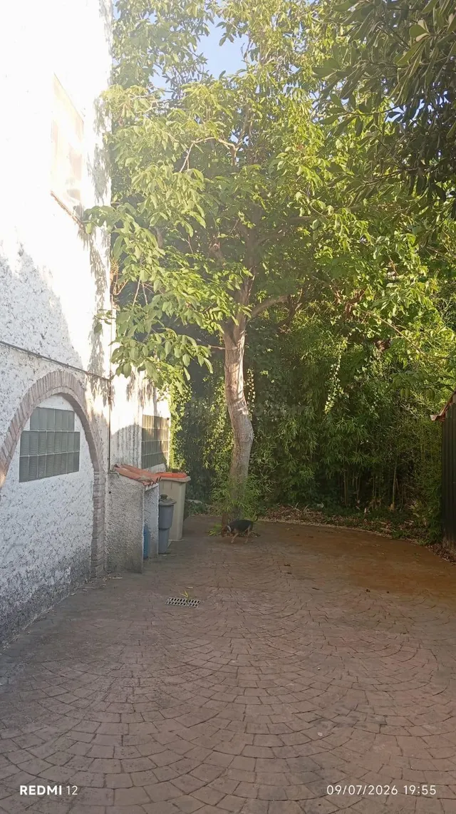 INCREIBLE CASA FAMILIAR CON SOLERA — 3