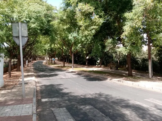Exclusivo Piso Totalmente Reformado con Terraza en el Centro de Estepona — 49