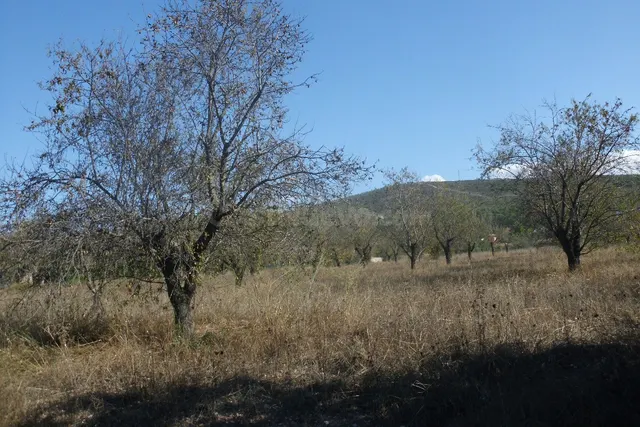 Finca La Farola Ontinyent - foto 4