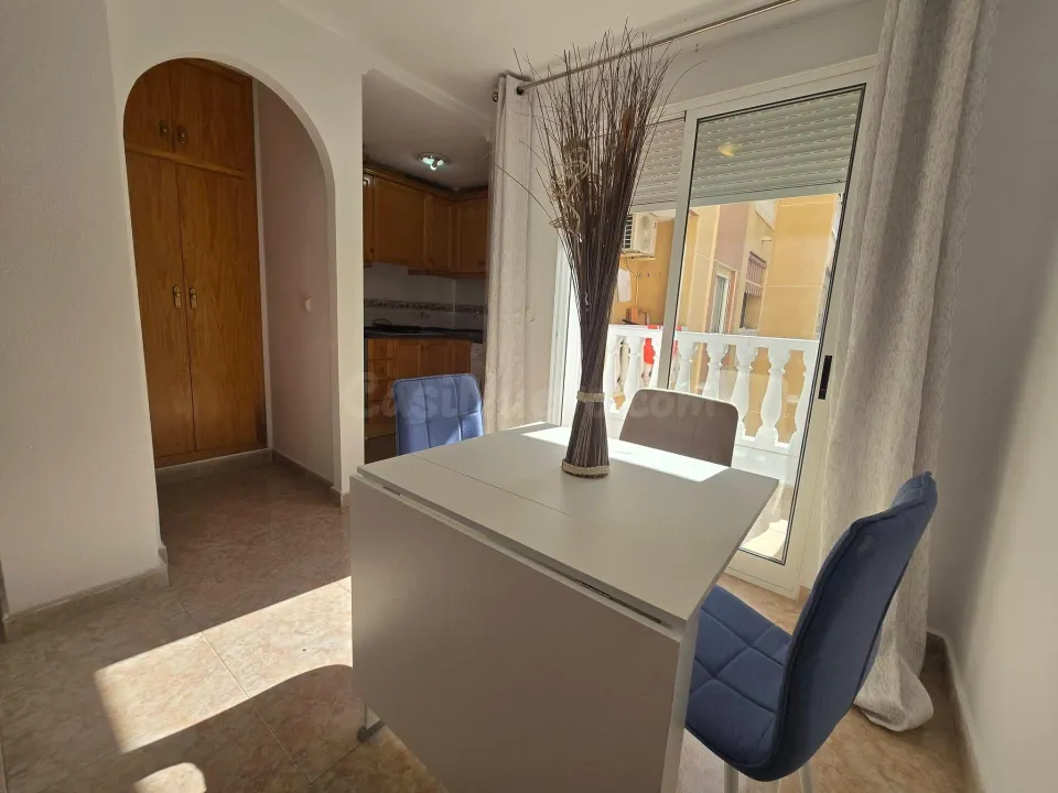 GRAN ESTUDIO EN TORREVIEJA: 1 ASEO