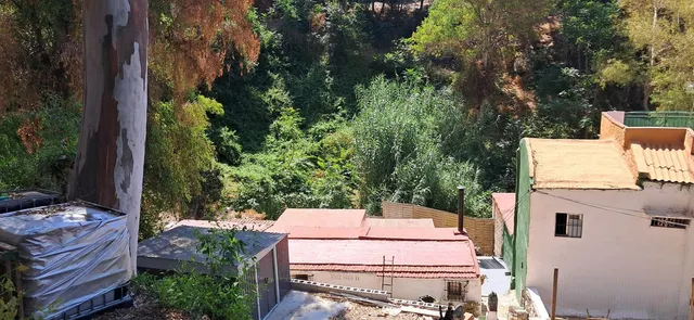 Parcela 1469m² en venta - Limonar — 11
