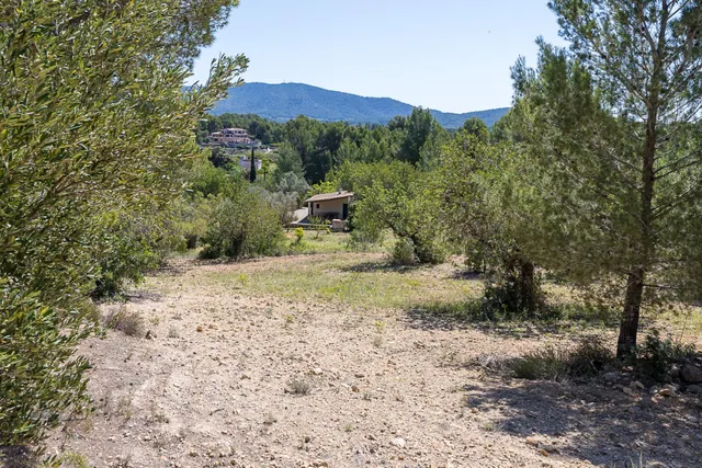 SE VENDE FANTASTICA FINCA RÚSTICA CON 35.000M2 DE TERRENO EN CALVIÀ — 37
