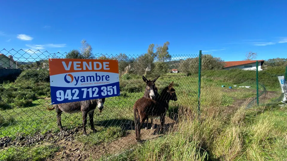 SE VENDE TERRENO URBANIZABLE EN PIELAGOS, RENEDO