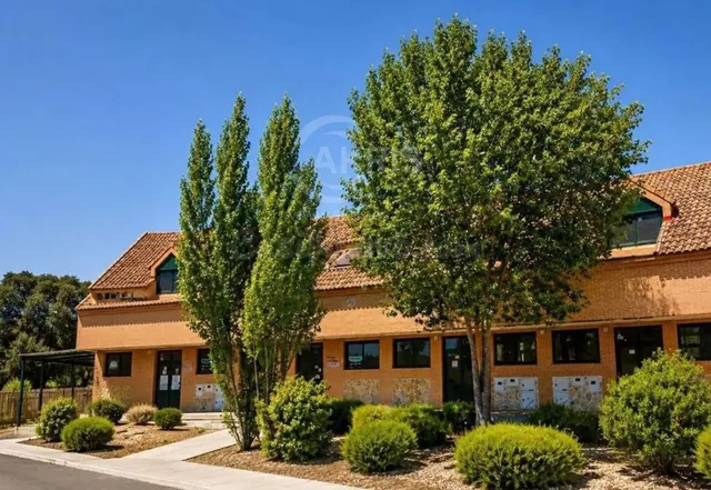 Local Comercial en Escalona