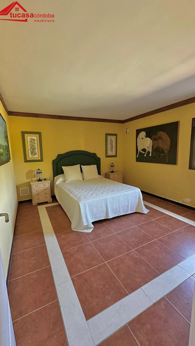 CASA CON TERRENO A ORILLAS DEL PANTANO EN PEÑARROYA — 17