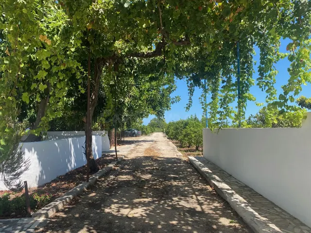 Villa 8 habitaciones 517m² en venta - Beniarjó - foto 5