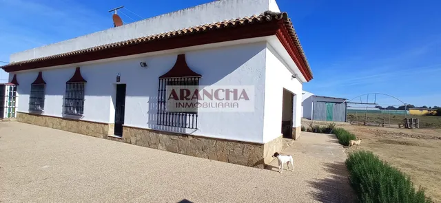 Chalet de 200m y dos naves en parcela de 6700 — 20