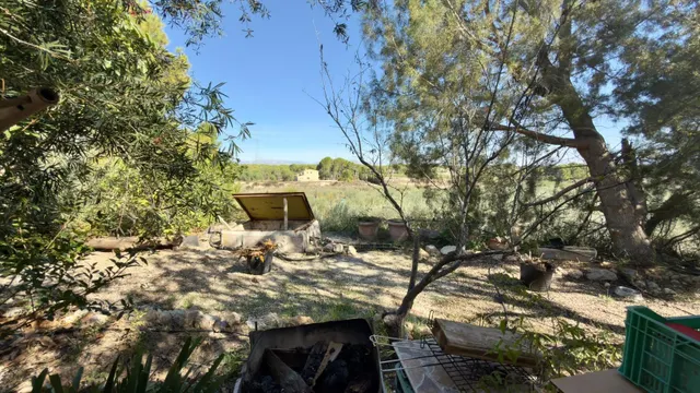 Finca rural con casa, casa auxiliar y 350 oliveras | los valientes — 28