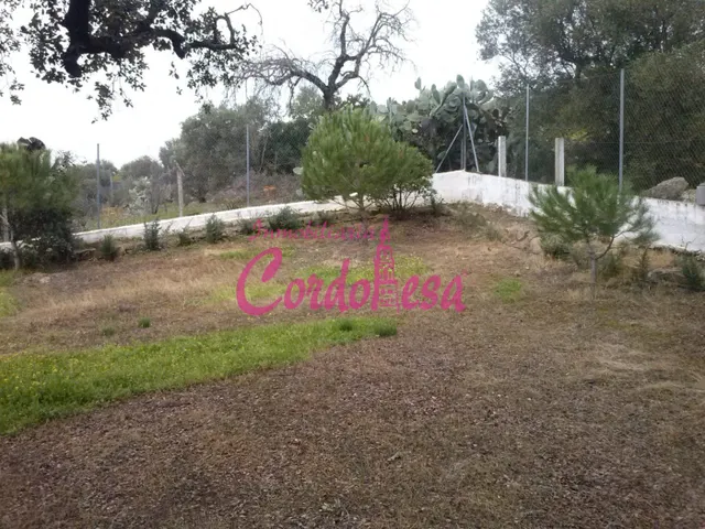 MAGNÍFICO TERRENO URBANO EN ALCOLEA — 8