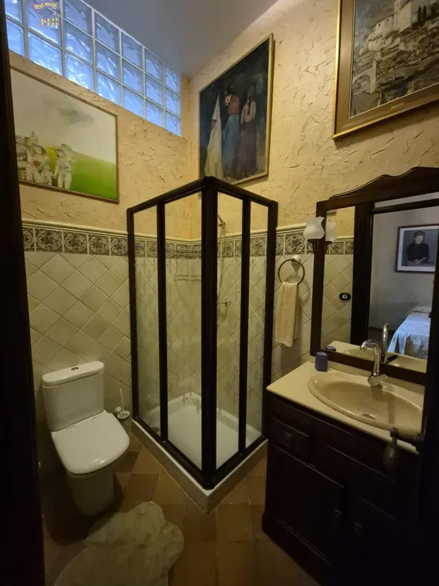 SE VENDE FINCA RÚSTICA EN ZONA DE CARRETERA ARCOS-GIBALBIN — 11