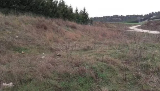 TERRENO EN PARAJE LA ENCOMIENDA, POL. 3, PARCELA 5035, SIMAN - foto 2