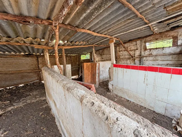 Finca rústica de 18.444 m2 con pozo y construcción catastrada en Alcalá de los Gazule — 10