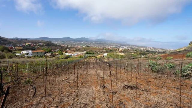 Terreno urbano en Tacoronte. — 37
