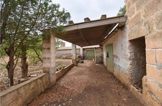 Finca rústica con posibilidad de vivienda en Muro - foto 5