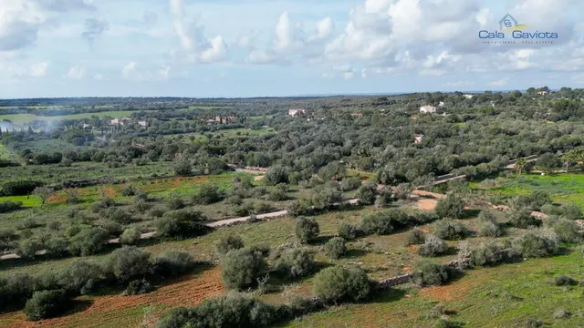 Terreno rústico en Ses Salines - foto 4