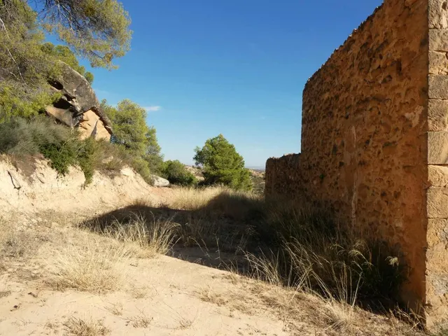Suelo rústico en Venta en Maella Zaragoza — 18