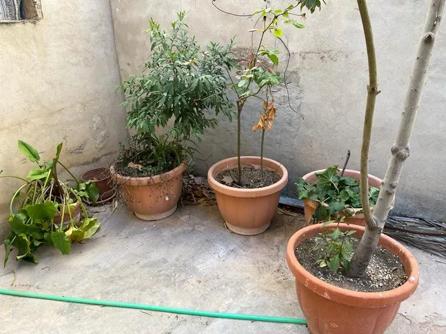 Casa 4 habitaciones 249m² en venta - San Roque — 11