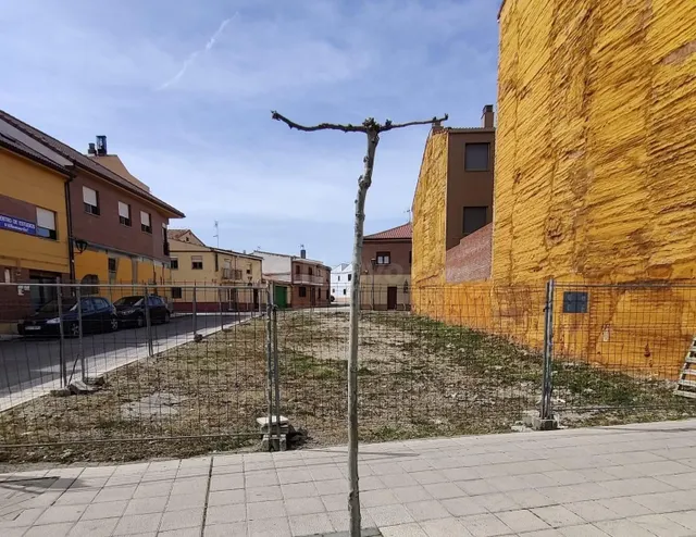TERRENO - VILLAMURIEL DE CERRATO - foto 2