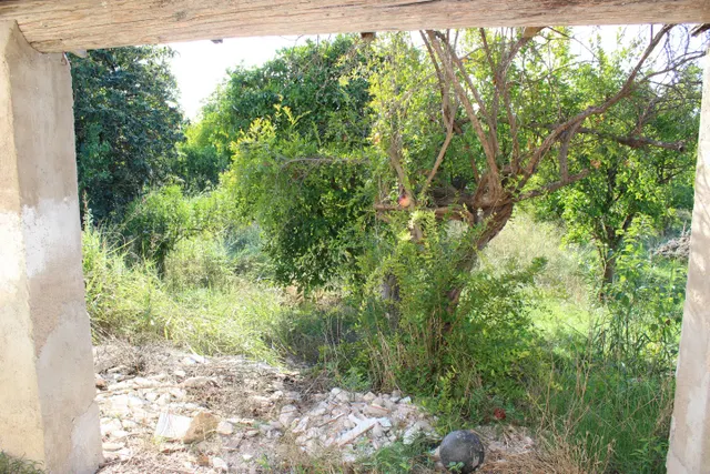 Casa de huerta en Patiño. — 8