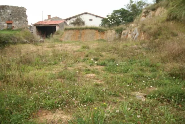 TERRENO URBANO/RUSTICO EN CONCHA - RUILOBA - foto 5