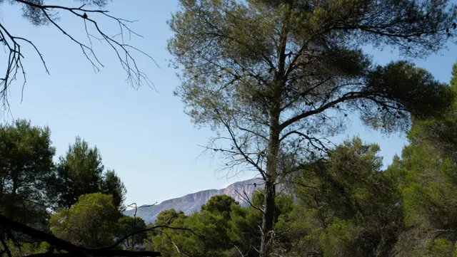 Parcela en venta - Montañar I — 14