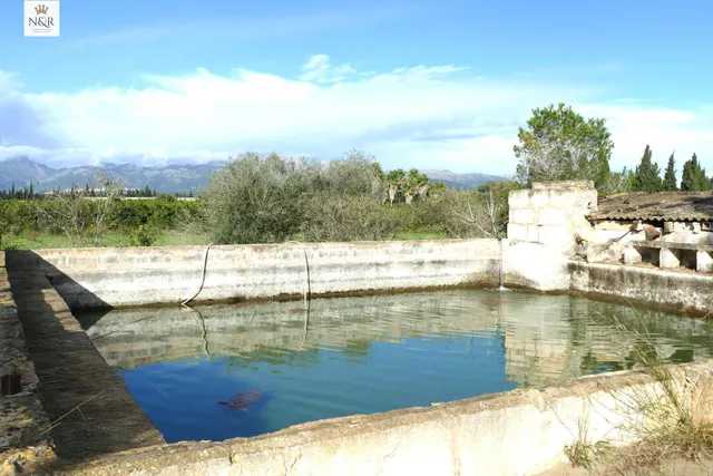 FINCA RÚSTICA CON LUZ ELÉCTRICA Y AGUA EN LLUBÍ - foto 5