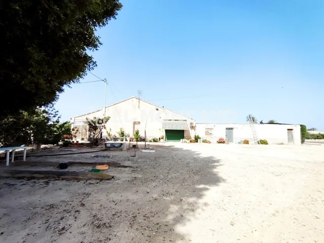 Fantástica casa de campo con parcela en la zona del campo de Elche, Alicante, Costa Blanca — 2