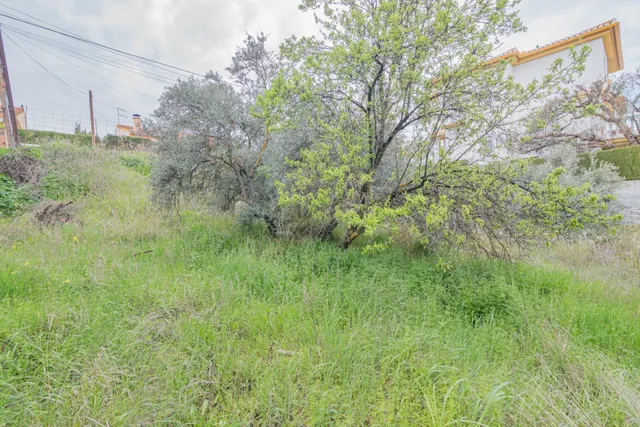 SOLAR EN CULLAR VEGA — 12