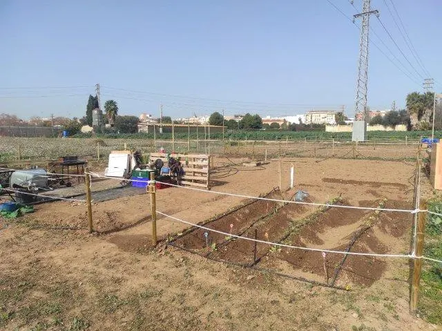 HUERTOS URBANOS EN ALAQUÀS — 10
