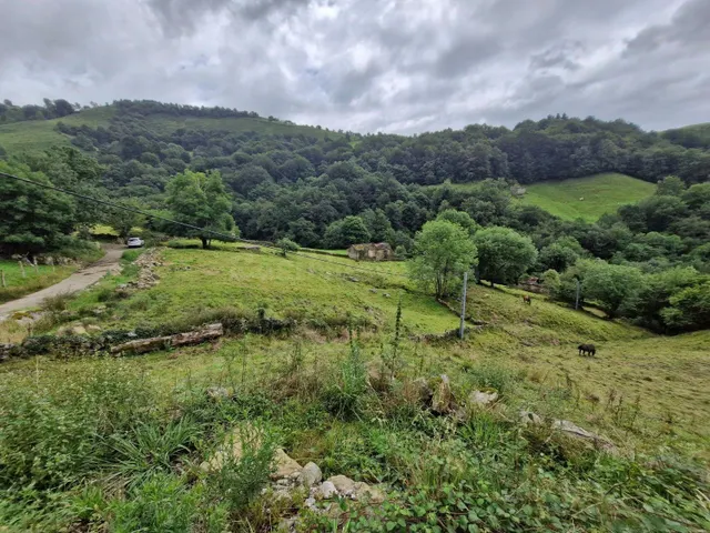 Cabaña Pasiega junto al rio Bustantegua - foto 5