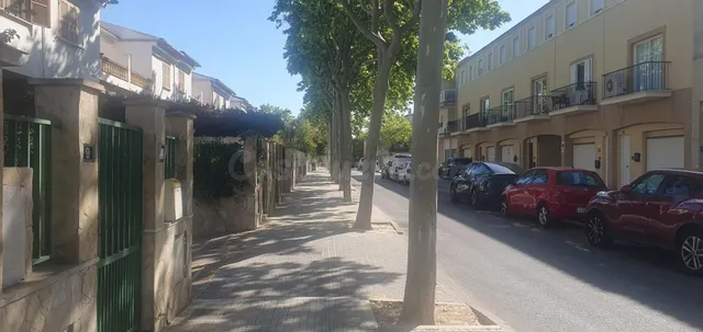 LOCAL SECAR DE LA REAL - foto 5