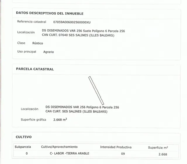 Gran parcela urbanizable en Campos — 13