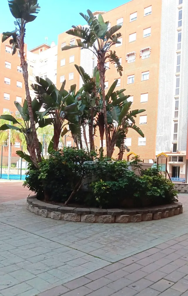Parque Litoral Malaga amplio y luminoso piso - foto 2
