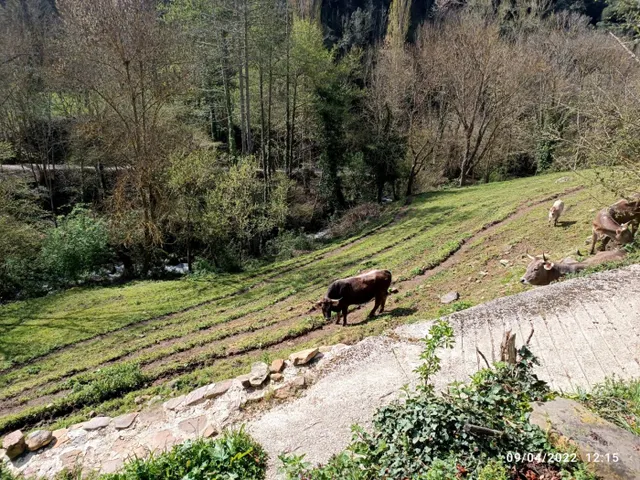Terreno urbano con proyecto incluido — 19