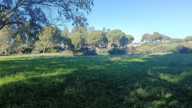 Parcela en Venta en El Pinar de los Franceses - foto 3