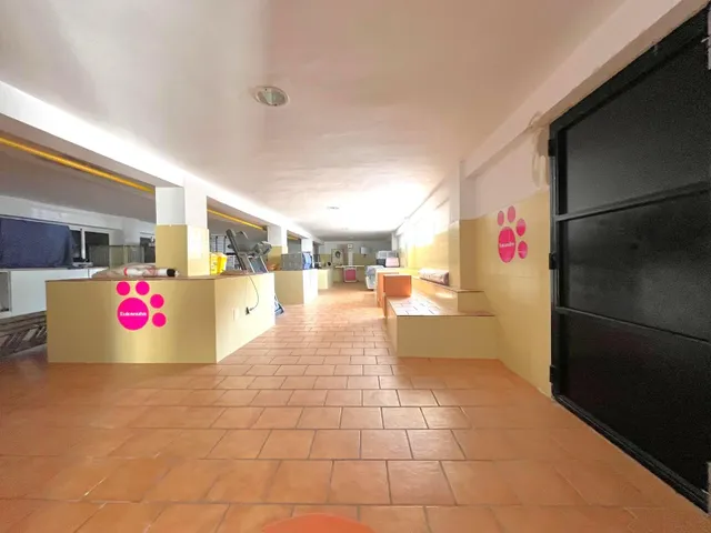 VENTA AMPLIO LOCAL COMERCIAL ARROYO DE LA MIEL — 9