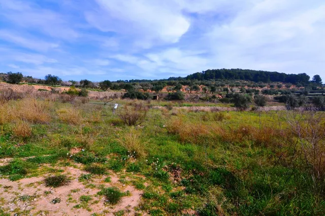 OPORTUNIDAD FINCA DE RIEGO CON PEQUEÑA construcción EN LA FA - foto 5