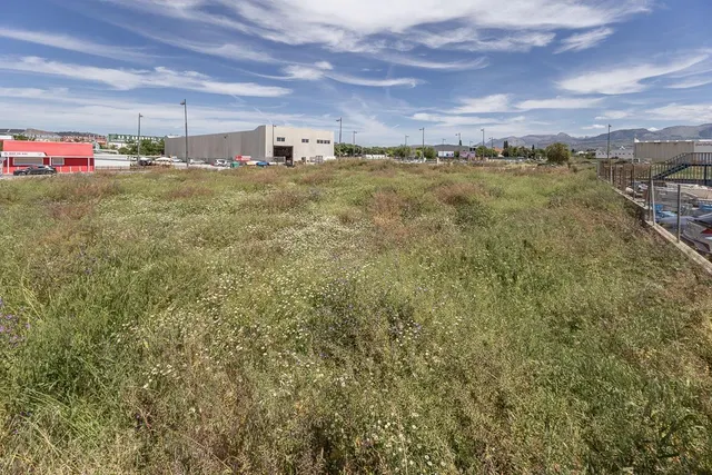 Gran Parcela en Cortijo del Conde — 8